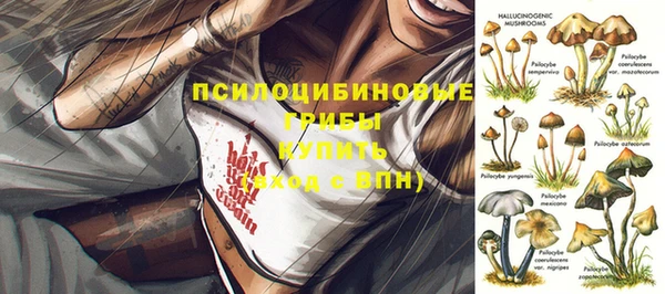 сатива Армянск